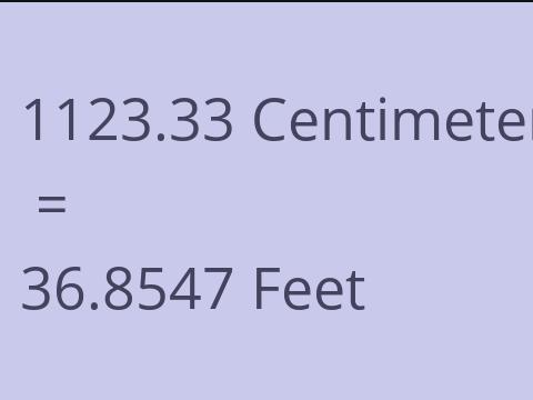 1123.33 CM TO FEET