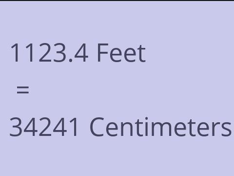 1123.4 FEET TO CM