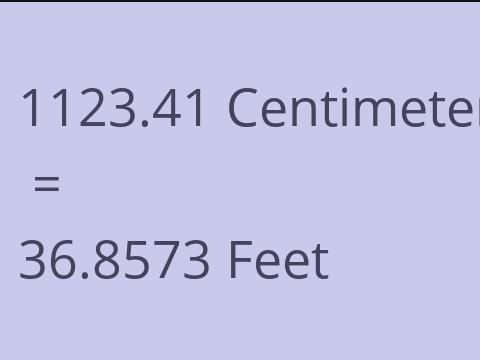 1123.41 CM TO FEET