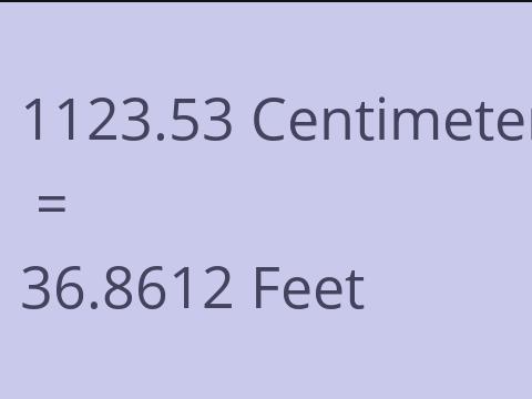 1123.53 CM TO FEET