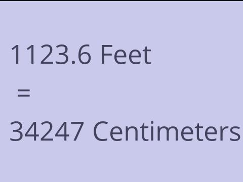 1123.6 FEET TO CM