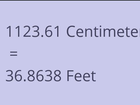 1123.61 CM TO FEET