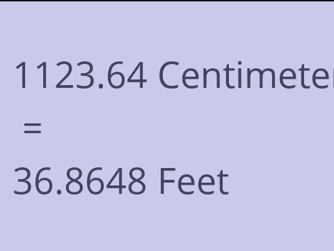 1123.64 CM TO FEET