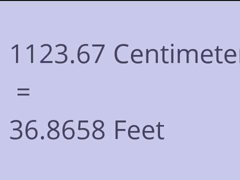 1123.67 CM TO FEET