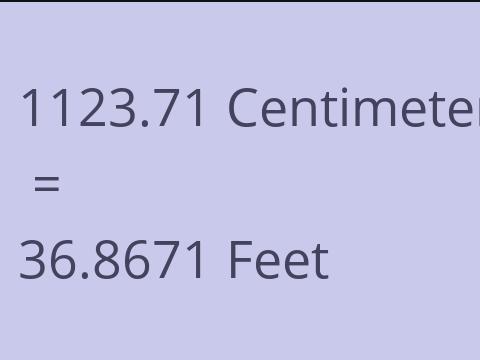 1123.71 CM TO FEET