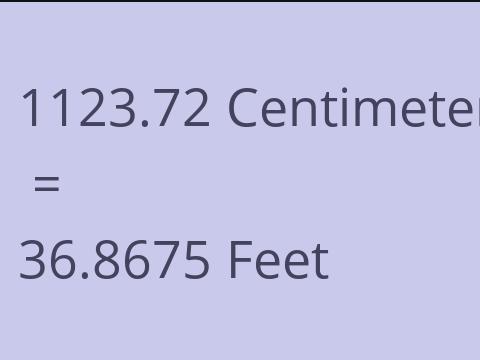 1123.72 CM TO FEET