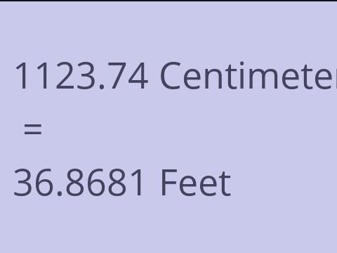 1123.74 CM TO FEET