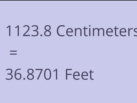 1123.8 CM TO FEET