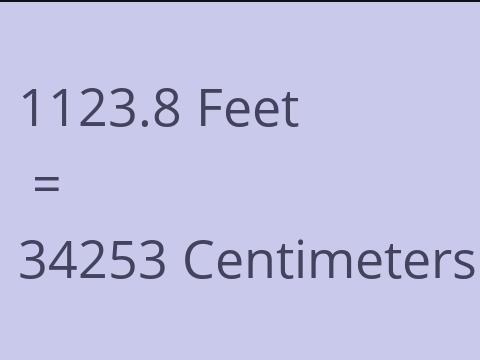 1123.8 FEET TO CM