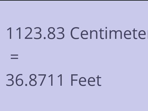 1123.83 CM TO FEET