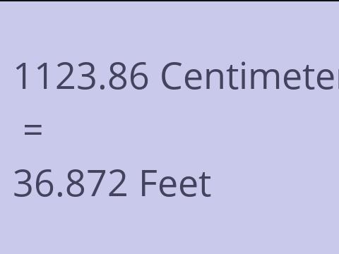 1123.86 CM TO FEET