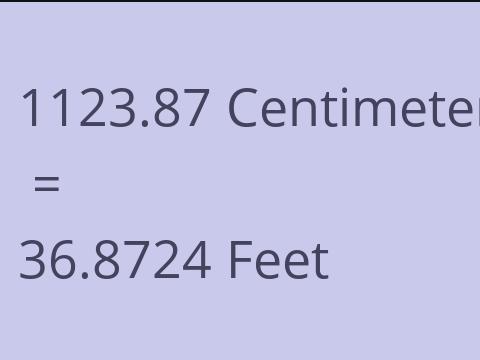 1123.87 CM TO FEET