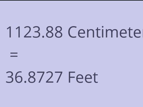 1123.88 CM TO FEET