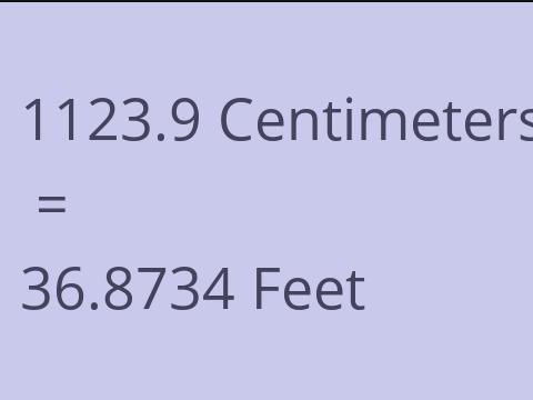 1123.9 CM TO FEET