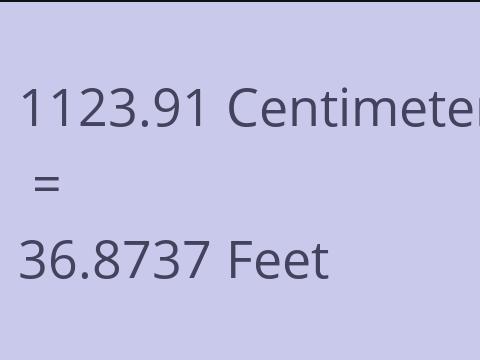 1123.91 CM TO FEET