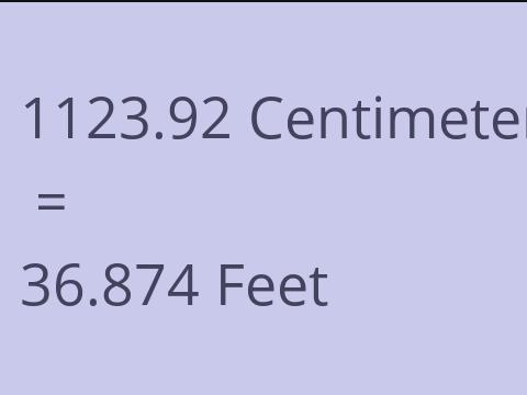 1123.92 CM TO FEET