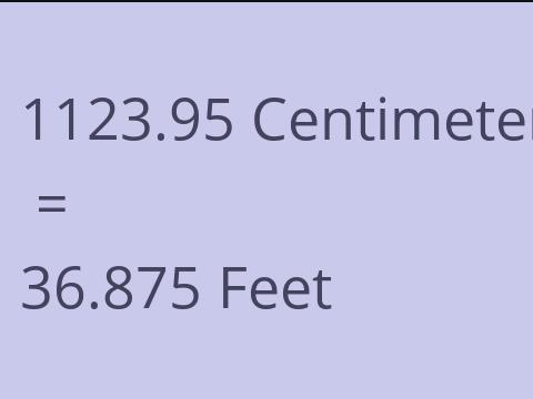 1123.95 CM TO FEET