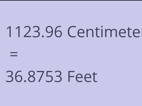 1123.96 CM TO FEET