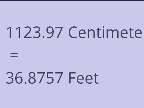 1123.97 CM TO FEET