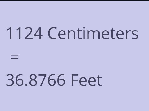 1124 CM TO FEET