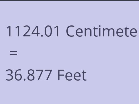 1124.01 CM TO FEET