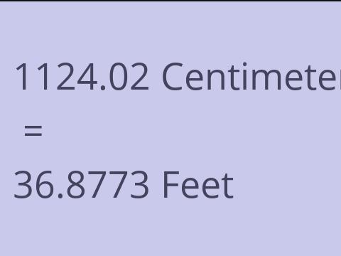 1124.02 CM TO FEET