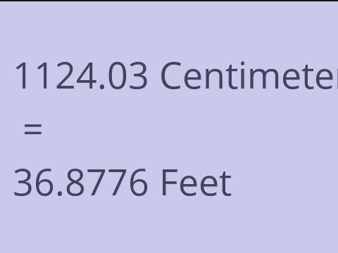 1124.03 CM TO FEET