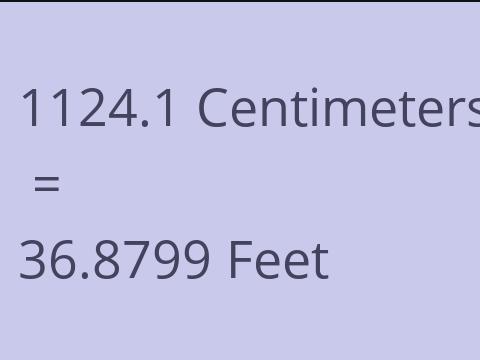 1124.1 CM TO FEET