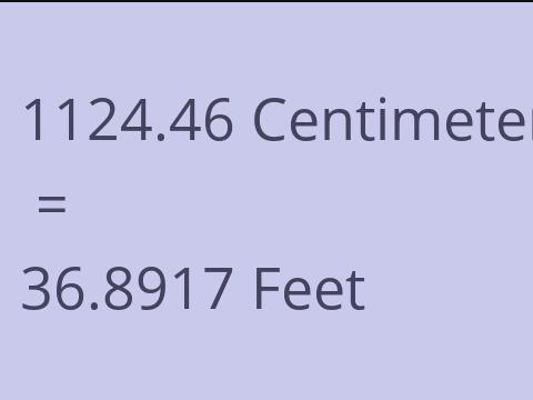 1124.46 CM TO FEET