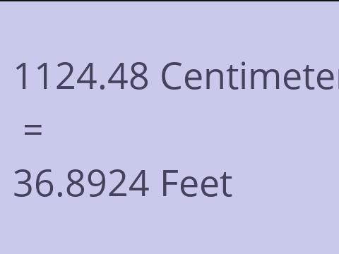 1124.48 CM TO FEET