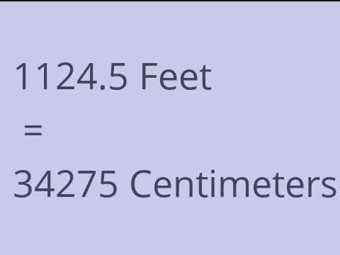 1124.5 FEET TO CM