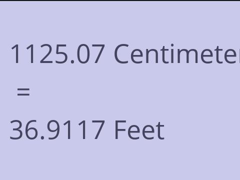 1125.07 CM TO FEET