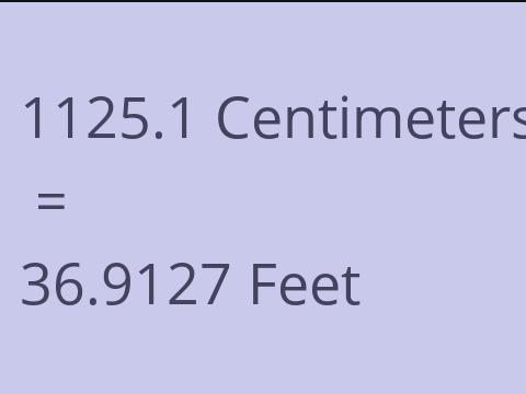 1125.1 CM TO FEET