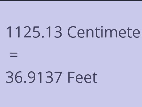 1125.13 CM TO FEET