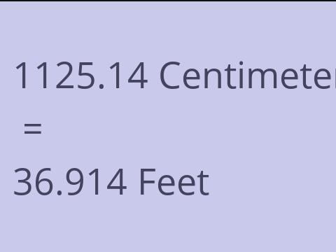 1125.14 CM TO FEET