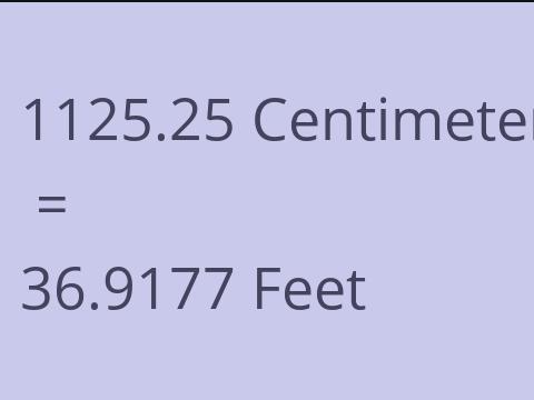 1125.25 CM TO FEET