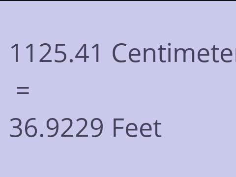 1125.41 CM TO FEET