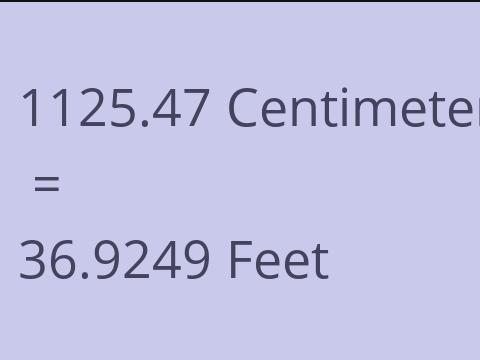 1125.47 CM TO FEET