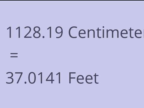 1128.19 CM TO FEET