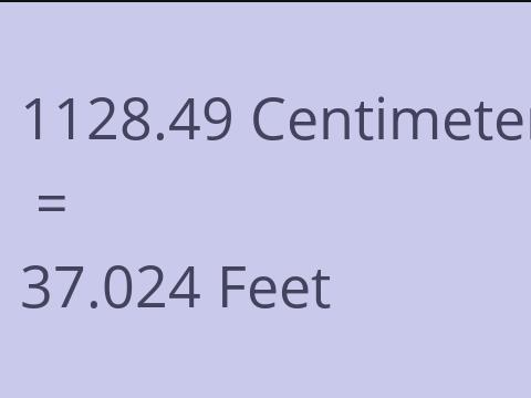 1128.49 CM TO FEET