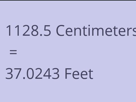 1128.5 CM TO FEET