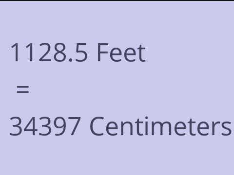 1128.5 FEET TO CM