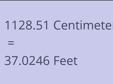 1128.51 CM TO FEET