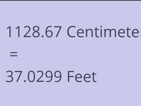 1128.67 CM TO FEET