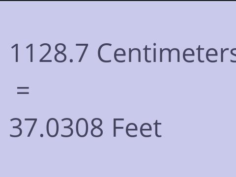 1128.7 CM TO FEET