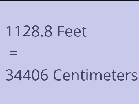 1128.8 FEET TO CM