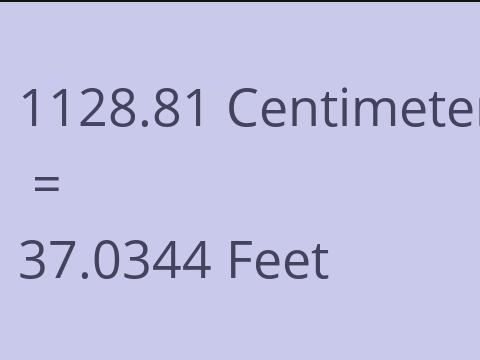 1128.81 CM TO FEET