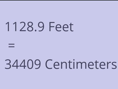 1128.9 FEET TO CM