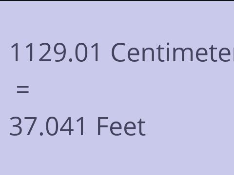 1129.01 CM TO FEET