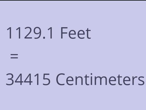 1129.1 FEET TO CM